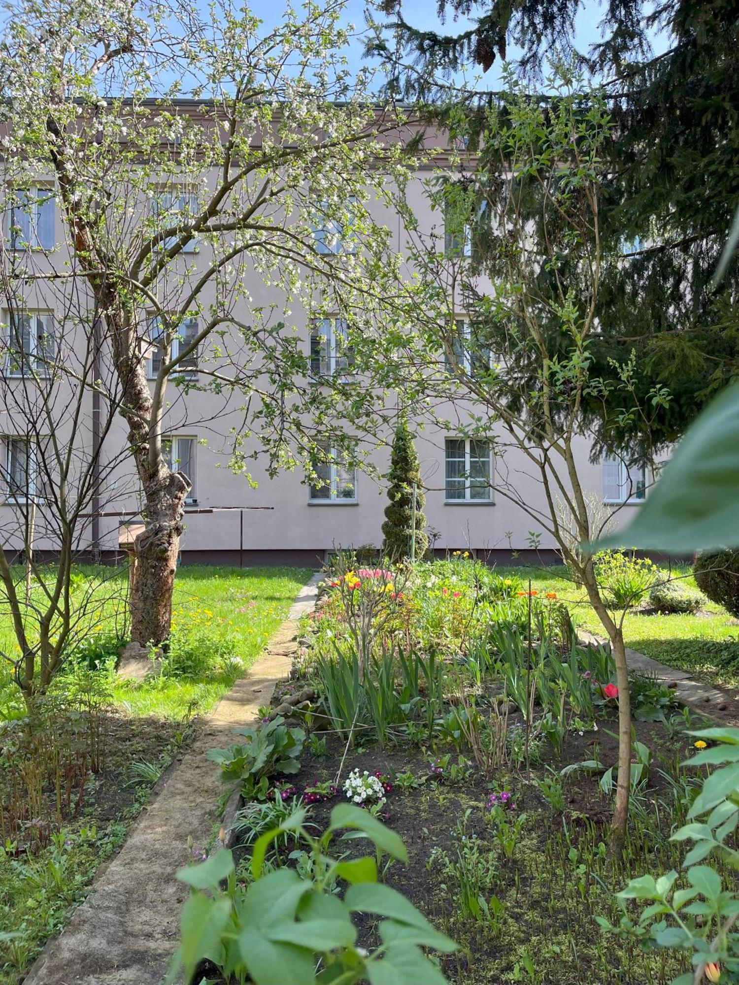 Greenthumb Praska Cracovia Exterior foto