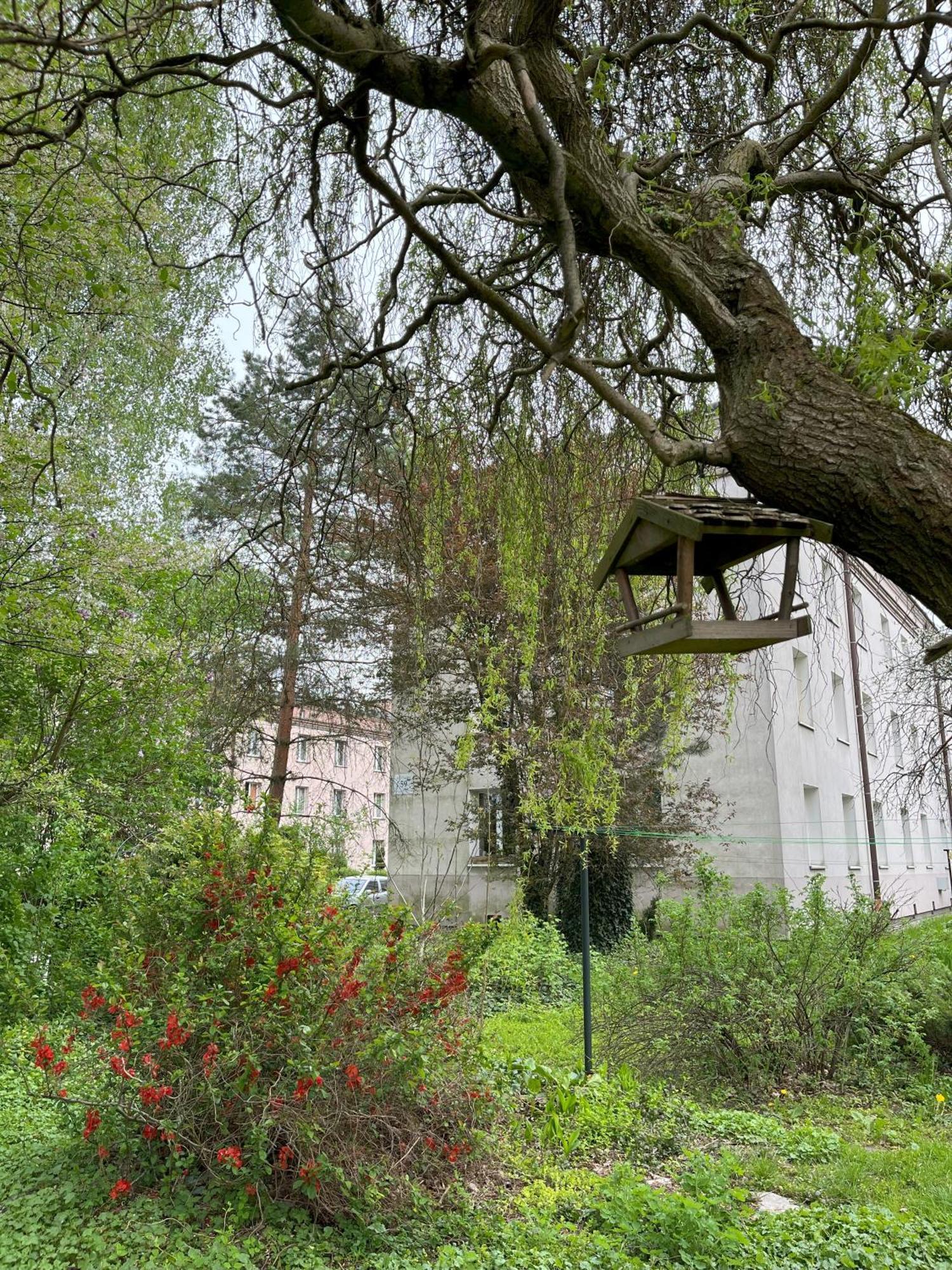 Greenthumb Praska Cracovia Exterior foto