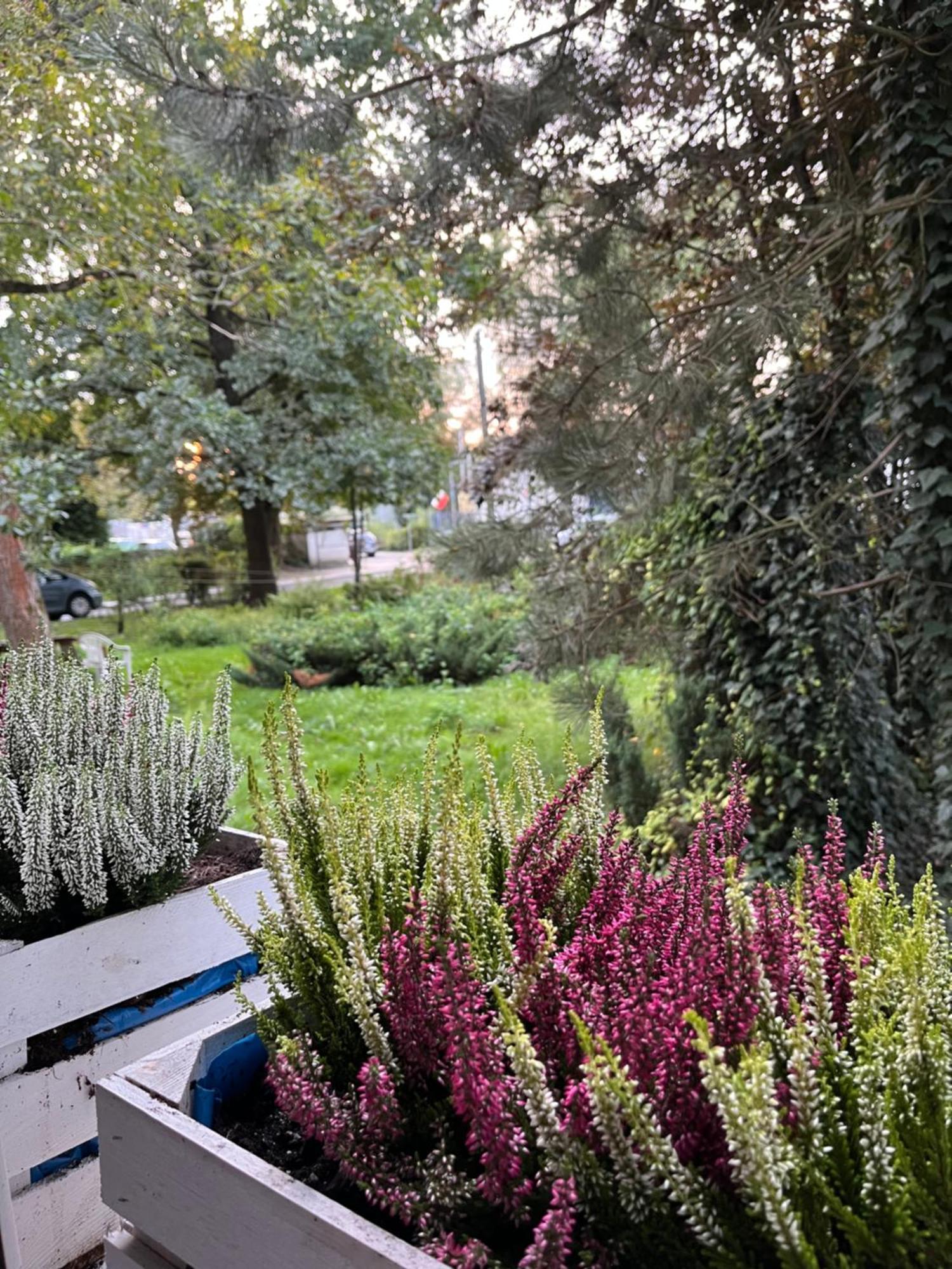 Greenthumb Praska Cracovia Exterior foto